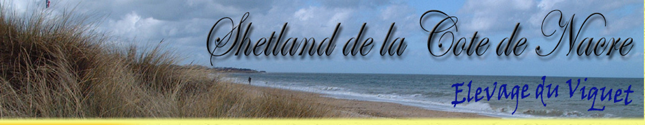 titre