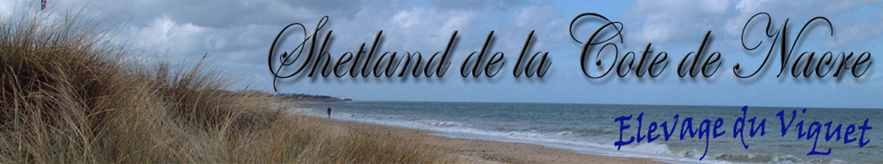 titre