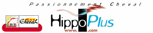 hippoplus (12K)