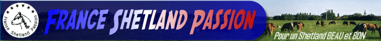 shetland_passion (38K)