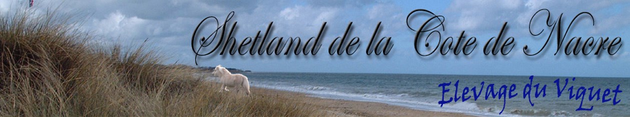 titre