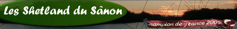 shetland-sanon (44K)